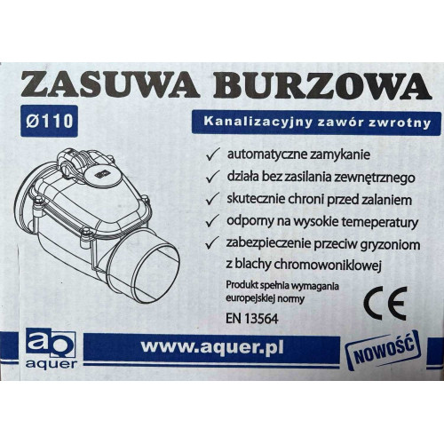 Зворотній клапан 110